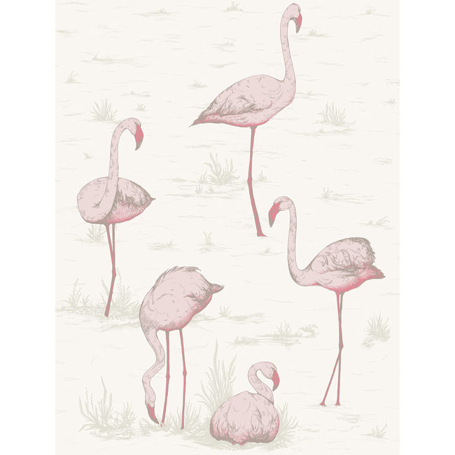 COLE & SON CONTEMPORARY RESTYLED FLAMINGOS - PINK/WHITE 95/8045.CS.0
