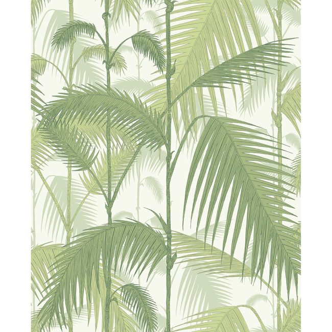 COLE & SON CONTEMPORARY RESTYLED PALM JUNGLE - OLIVE GRE/WHITE 95/1001.CS.0