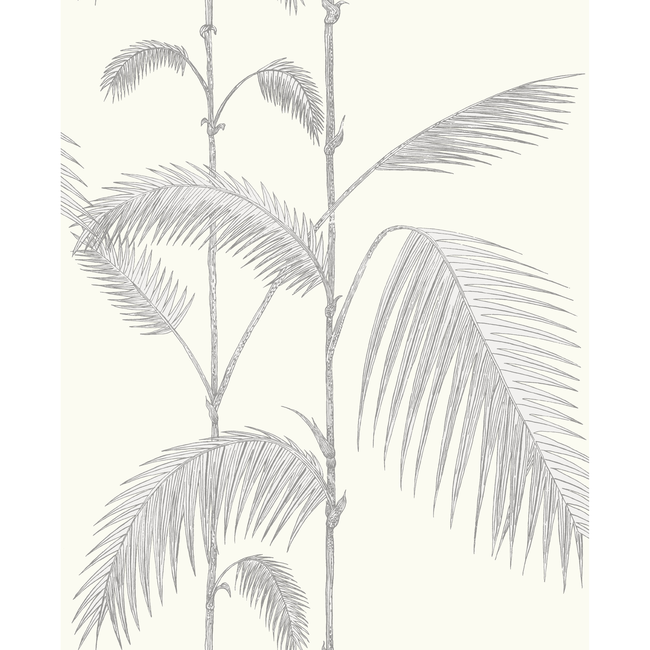 COLE & SON CONTEMPORARY RESTYLED PALM LEAVES - GREY/WHITE 95/1008.CS.0
