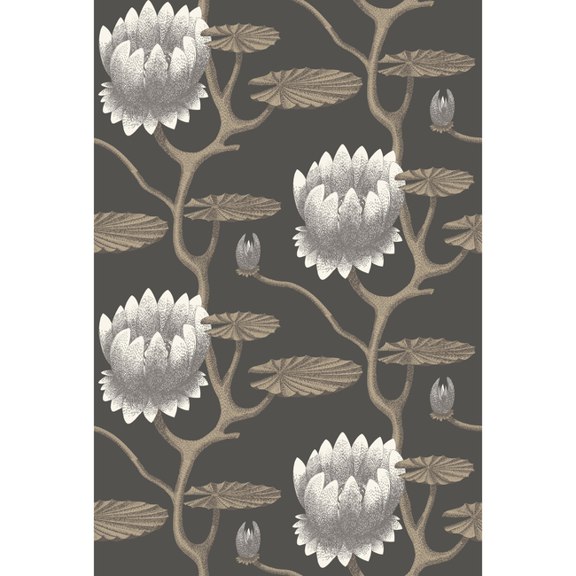 COLE & SON CONTEMPORARY RESTYLED SUMMER LILY - BLK/WHT/GOLD 95/4026.CS.0