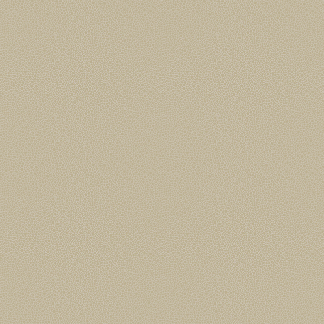 COLE & SON CURIO GOLDSTONE - STONE & GILVER 107/9042.CS.0