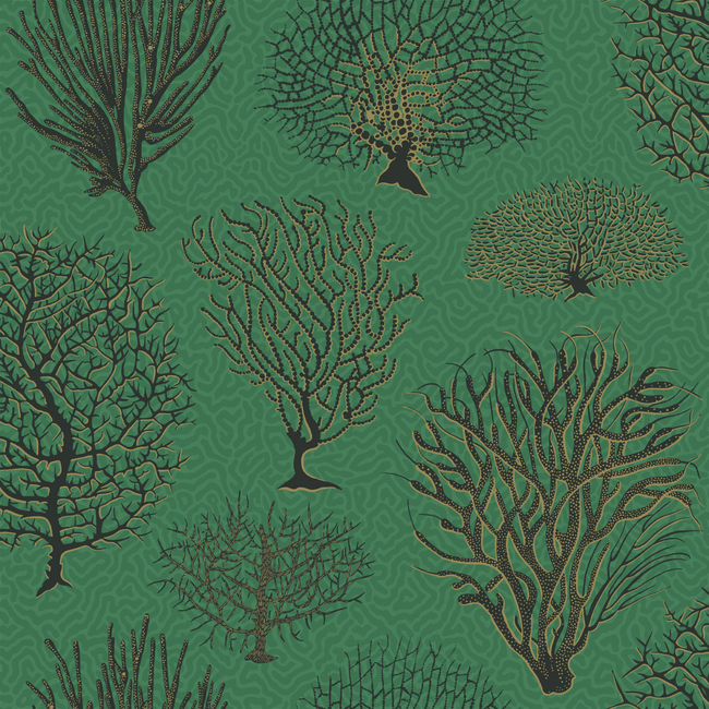 COLE & SON CURIO SEAFERN - EMERALD 107/2007.CS.0