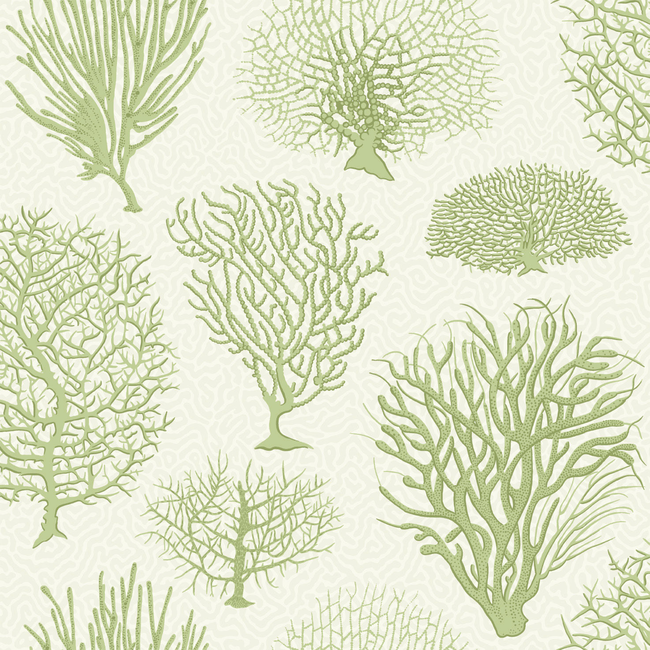 COLE & SON CURIO SEAFERN - SOFT GREEN 107/2008.CS.0