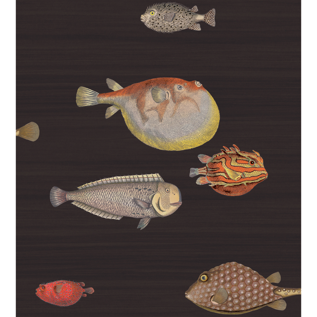 COLE & SON FORNASETTI ACQUARIO - BLACK & MULTI 97/10048.CS.0