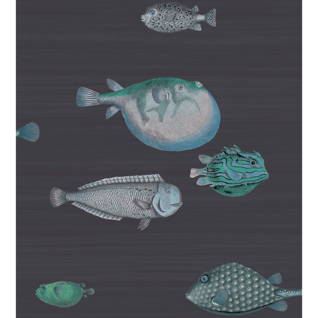 COLE & SON FORNASETTI SENZA TEMPO ACQUARIO - INK 114/16032.CS.0