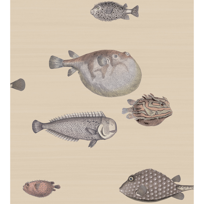 COLE & SON FORNASETTI SENZA TEMPO ACQUARIO - TAUPE 114/16033.CS.0