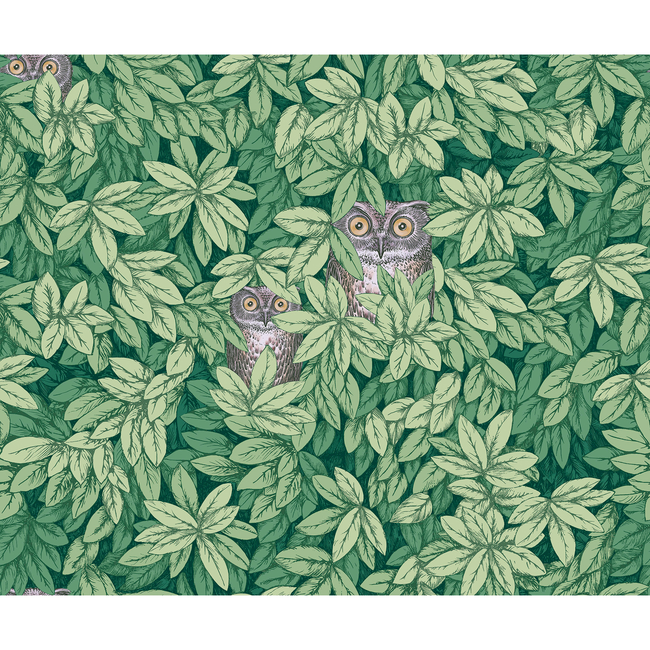 COLE & SON FORNASETTI SENZA TEMPO II FOGLIE E CIVETTE - GREEN 123/11054.CS.0