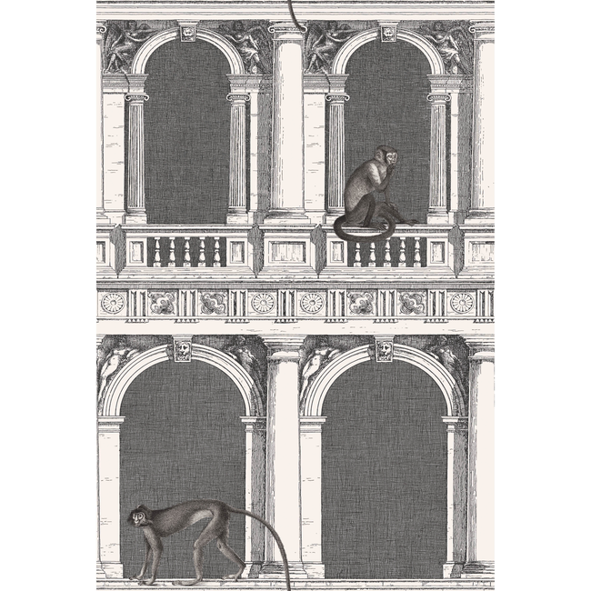 COLE & SON FORNASETTI SENZA TEMPO PROCURATIE E SCIMMIE - B/W 114/21041.CS.0