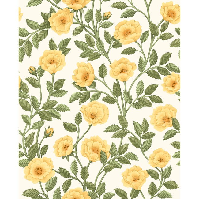COLE & SON HISTORIC ROYAL PALACES-GREAT MASTERS HAMPTON ROSES - MRG&OGRN/WH 118/7015.CS.0