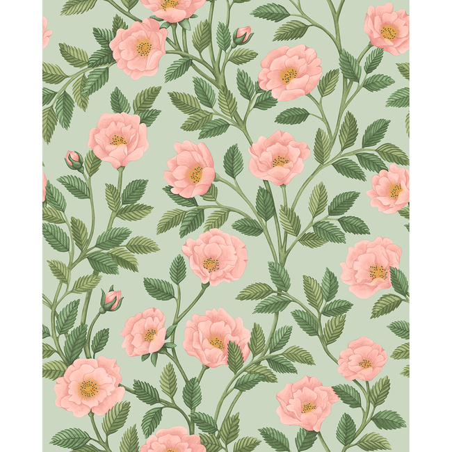 COLE & SON HISTORIC ROYAL PALACES-GREAT MASTERS HAMPTON ROSES - R&LGRN/DEGG 118/7014.CS.0