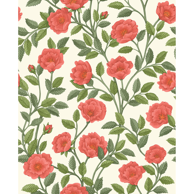 COLE & SON HISTORIC ROYAL PALACES-GREAT MASTERS HAMPTON ROSES - R&SGRN/PMNT 118/7013.CS.0