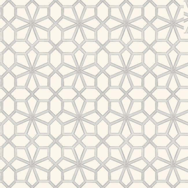 COLE & SON HISTORIC ROYAL PALACES-GREAT MASTERS WOLSEY STARS - SOOT ON SNOW 118/16036.CS.0