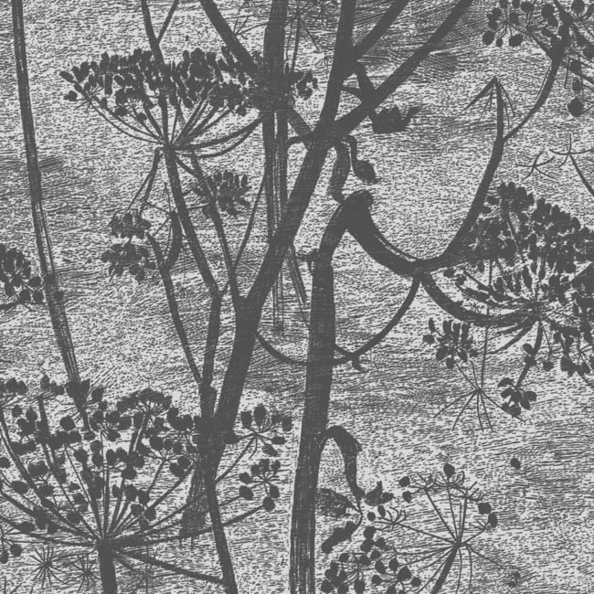 COLE & SON ICONS COW PARSLEY - CHARCOAL 112/8026.CS.0