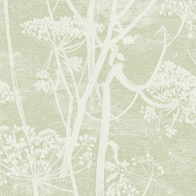 COLE & SON ICONS COW PARSLEY - OLIVE 112/8029.CS.0