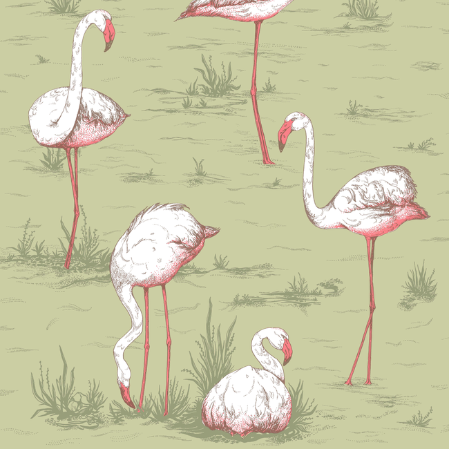 COLE & SON ICONS FLAMINGOS - OLIVE 112/11038.CS.0