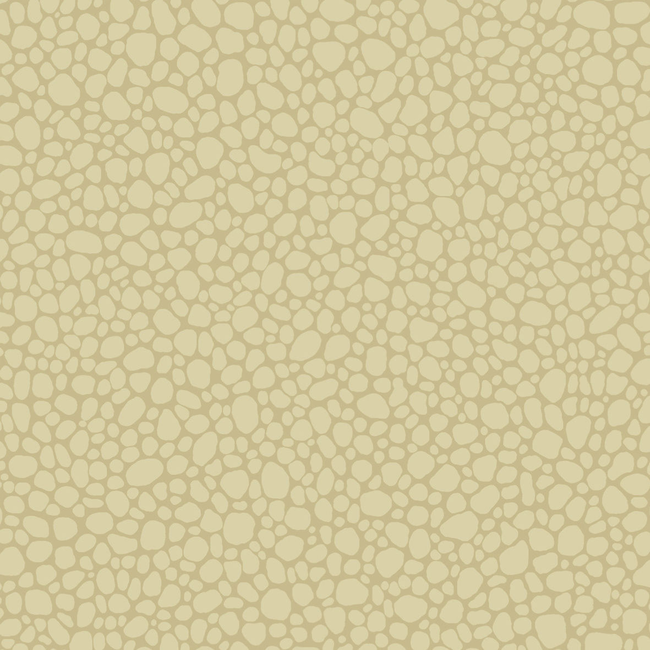 COLE & SON LANDSCAPE PLAINS PEBBLE - LATTE 106/2024.CS.0