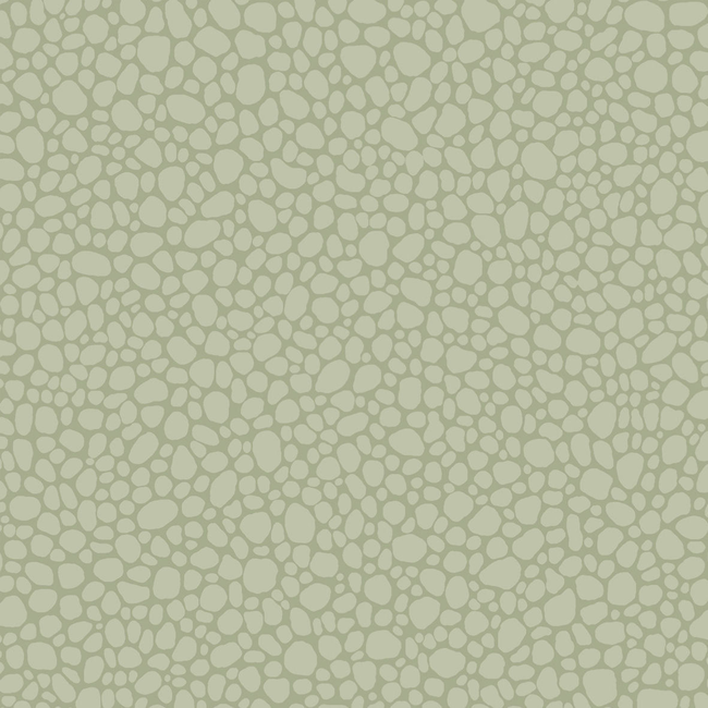 COLE & SON LANDSCAPE PLAINS PEBBLE - SAGE 106/2027.CS.0