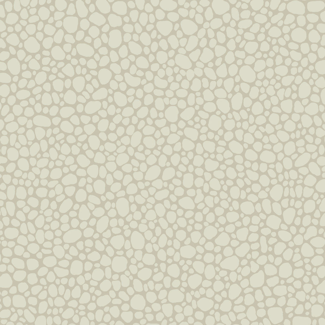 COLE & SON LANDSCAPE PLAINS PEBBLE - STONE 106/2021.CS.0