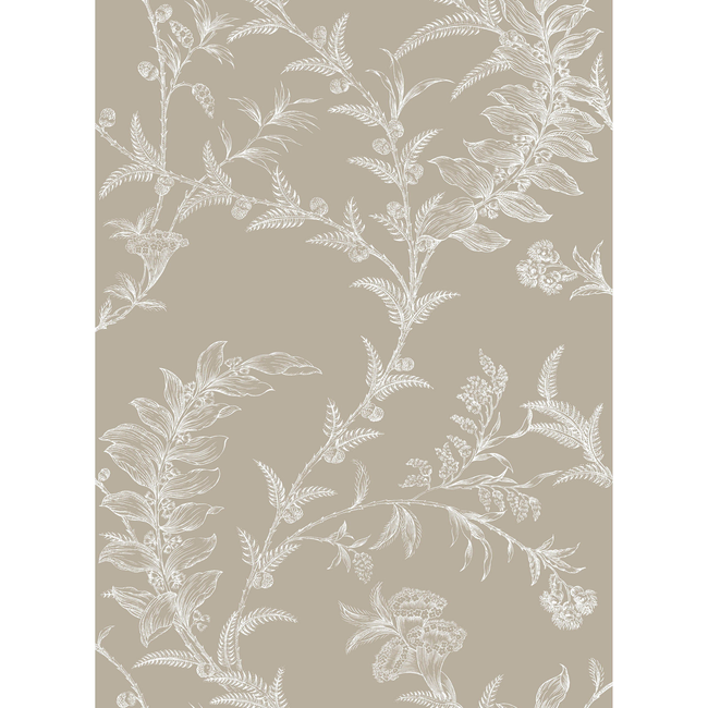 COLE & SON LUDLOW - TAUPE 88/1001.CS.0