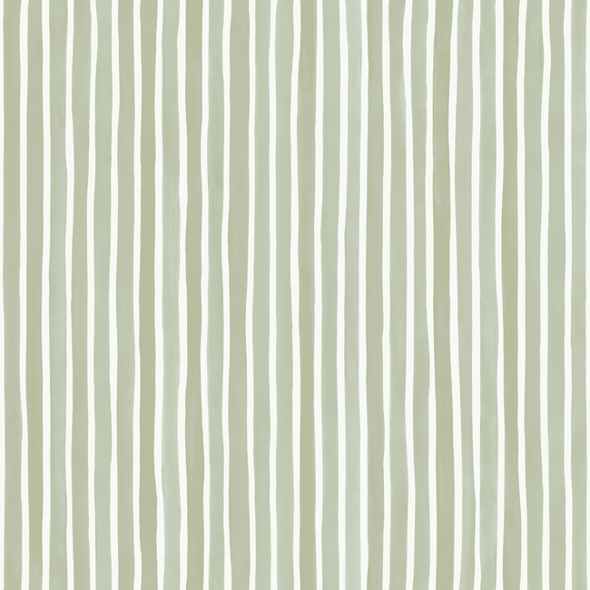 COLE & SON MARQUEE STRIPES CROQUET STRIPE - OLIVE 110/5030.CS.0