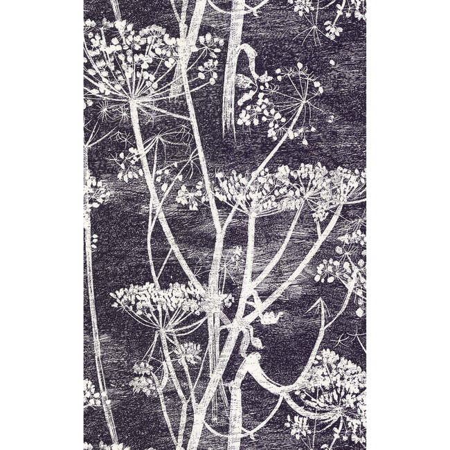 COLE & SON NEW CONTEMPORARY COW PARSLEY - WHITE/BLK 66/7046.CS.0