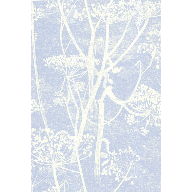 COLE & SON NEW CONTEMPORARY COW PARSLEY - WHITE/BLU 66/7050.CS.0