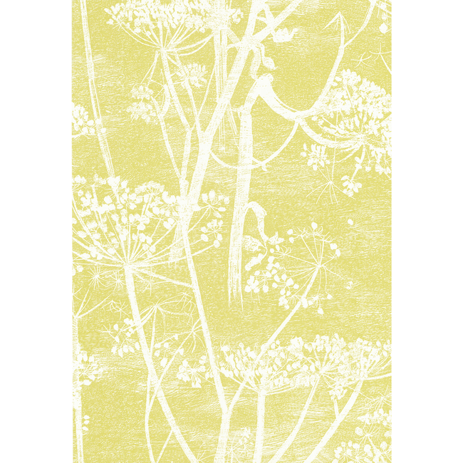 COLE & SON NEW CONTEMPORARY COW PARSLEY - WHITE/Y 66/7051.CS.0