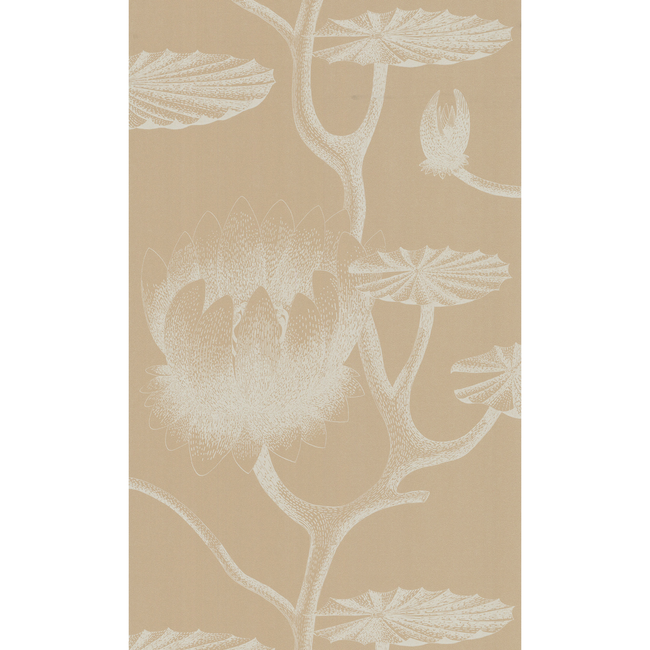 COLE & SON NEW CONTEMPORARY II LILY - IVORY/SAND 69/3113.CS.0