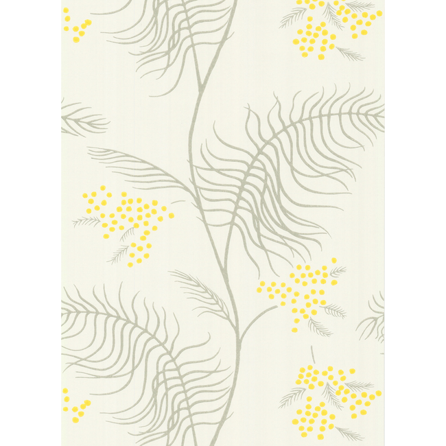 COLE & SON NEW CONTEMPORARY II MIMOSA - WHITE 69/8132.CS.0