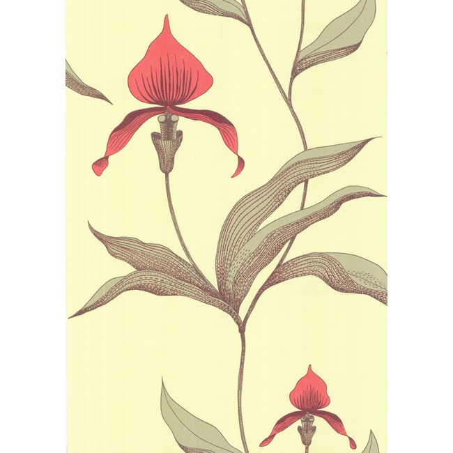 COLE & SON NEW CONTEMPORARY ORCHID - LIME/OR 66/4033.CS.0