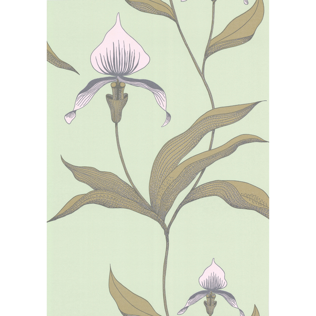 COLE & SON NEW CONTEMPORARY ORCHID - PALE GR 66/4028.CS.0