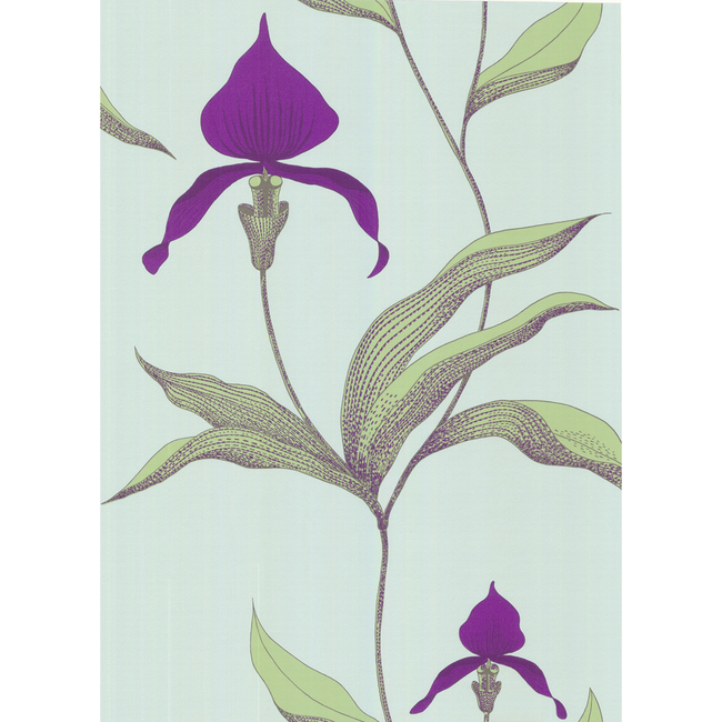 COLE & SON NEW CONTEMPORARY ORCHID - TURQUOI 66/4027.CS.0