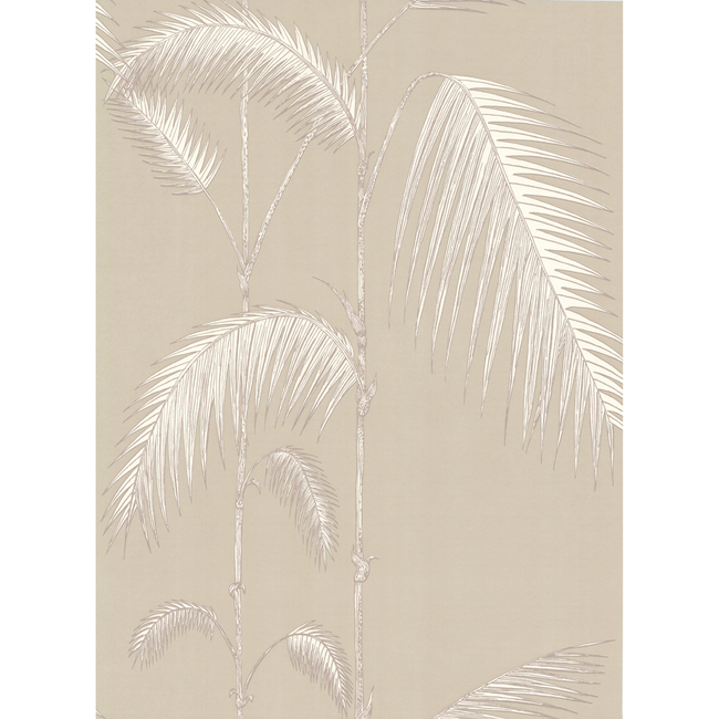 COLE & SON NEW CONTEMPORARY PALM LEAVES - TAUPE/W 66/2013.CS.0