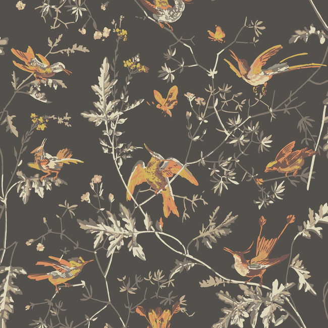 COLE & SON SELECTION OF HUMMINGBIRDS HUMMINGBIRDS - CHARCOAL/GINGER 112/4017.CS.0