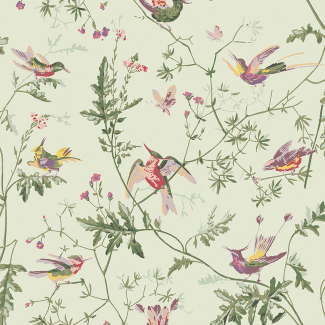 COLE & SON SELECTION OF HUMMINGBIRDS HUMMINGBIRDS - GREEN MULTI-COLOUR 100/14070.CS.0