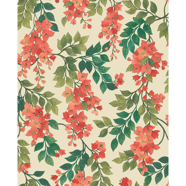COLE & SON SEVILLE BOUGAINVILLEA - ROUGE/OLIVE GRN/EMERALD/CRM 117/6016.CS.0