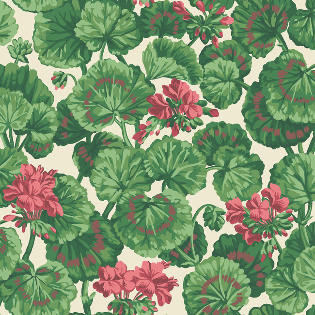 COLE & SON SEVILLE GERANIUM - ROSE/FOREST GRN ON PARCHMENT 117/11034.CS.0