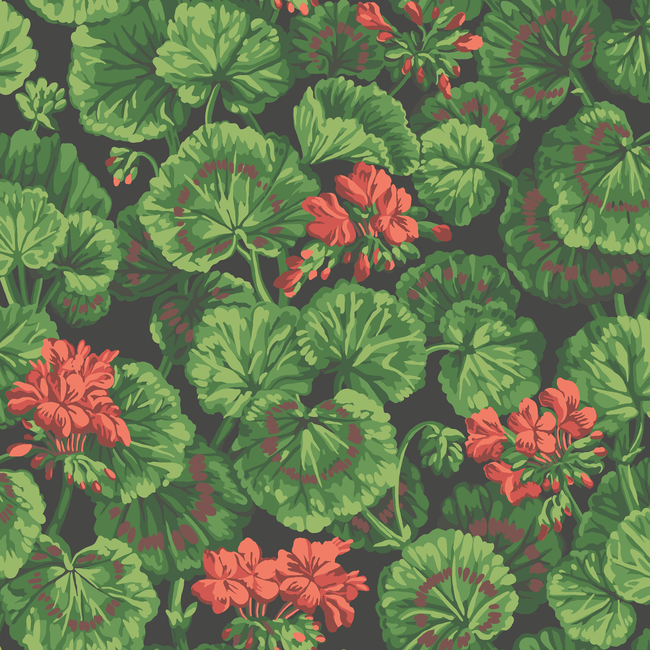 COLE & SON SEVILLE GERANIUM - ROUGE & LEAF GREENS ON BLACK 117/11033.CS.0