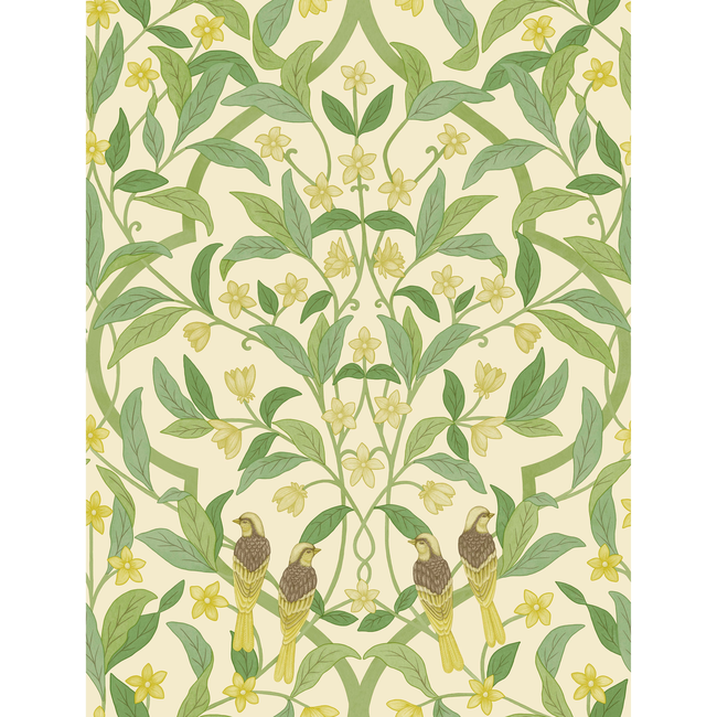 COLE & SON SEVILLE JASMINE & SERIN SYMPHONY - CHARTREUSE/GRN/WT 117/10031.CS.0