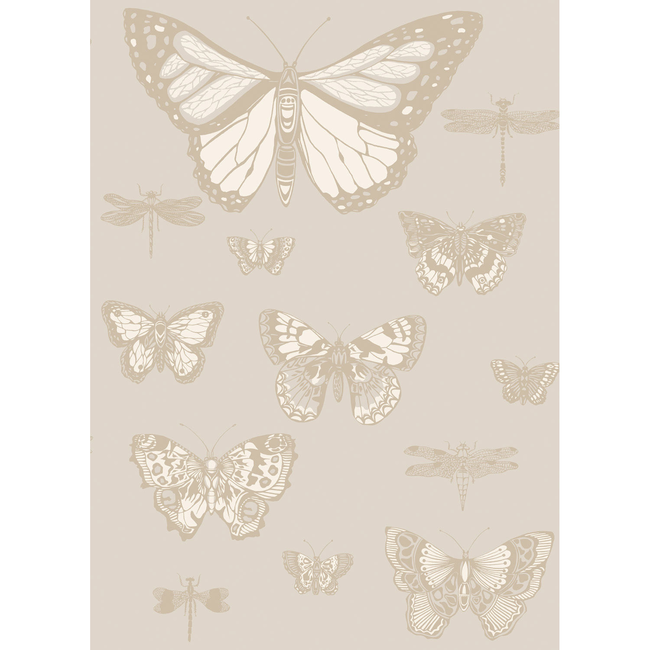 COLE & SON WHIMSICAL BUTTERFLIES & DRAGONFLIES - GREY 103/15064.CS.0