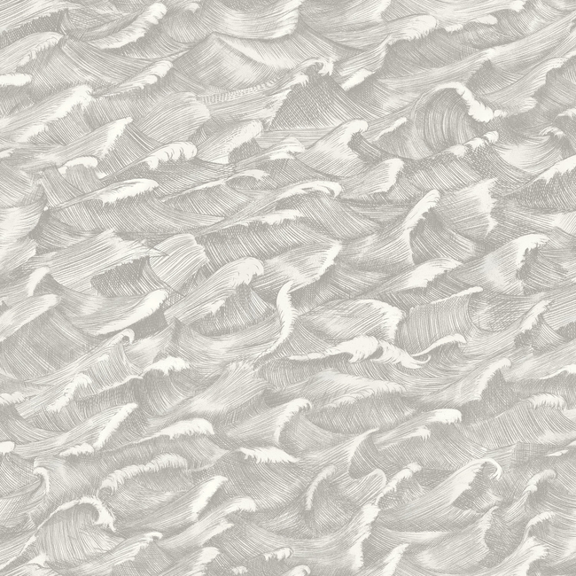 COLE & SON WHIMSICAL COLUMBUS - BLACK &WHITE 103/13055.CS.0