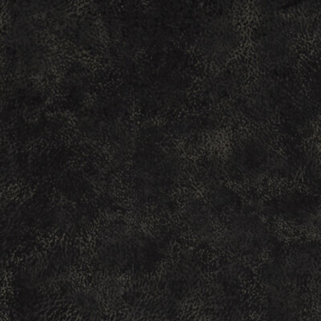 Clarke & Clarke Designer Studio G For C&C NOLA - JET F1296/08.CAC.0