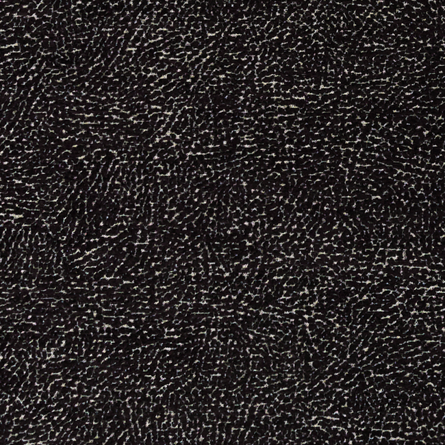 Clarke & Clarke MASON - NOIR F1322/06.CAC.0