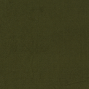 Clarke & Clarke Miami - Herb upholstery fabric swatch