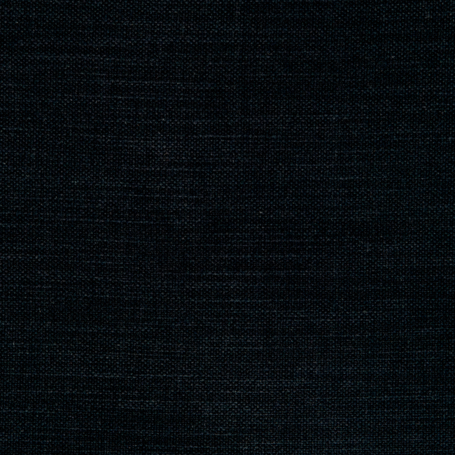 Clarke & Clarke NANTUCKET - LICORICE F0594/30.CAC.0