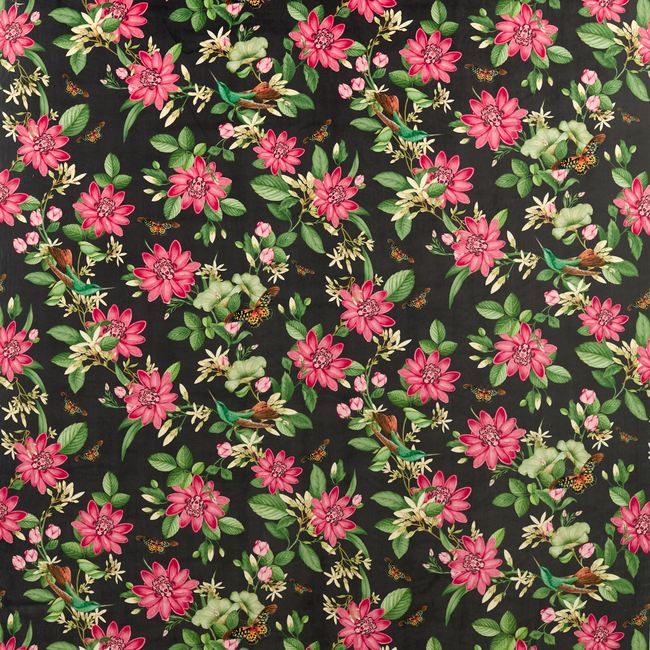 Clarke & Clarke PINK LOTUS - NOIR VELVET F1588/02.CAC.0