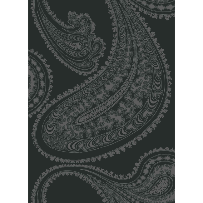 Cole & Son RAJAPUR - CHAR BLK F111/10037.CS.0