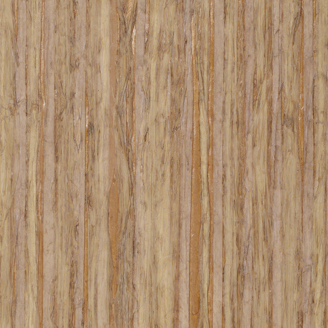 DONGHIA CIRCUS BAMBOOZLE - TAN DG-20057.008.0 - Limited Stock