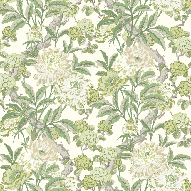 G P & J BAKER ASHMORE WALLPAPER SUMMER PEONY - GREEN BW45095.3.0