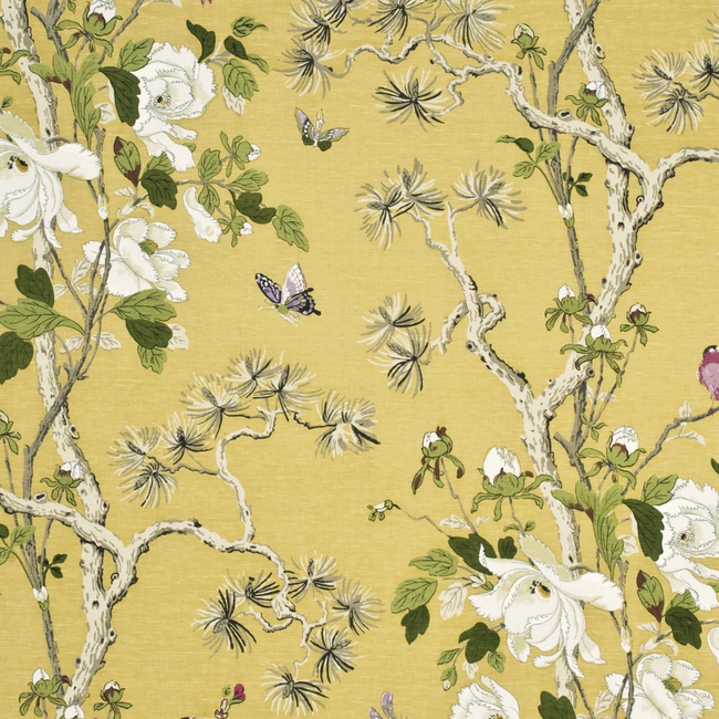 G P & J BAKER CRAYFORD TREE PEONY - STRONG YELLOW/IVORY BP10463.5.0